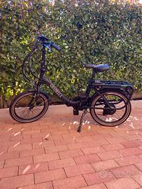 Bottecchia Graziella Genio