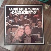 Dischi in vinile 33 giri