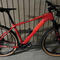 Mtb 29” Radon