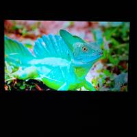 TV / Monitor Philips 22 Pollici FullHD