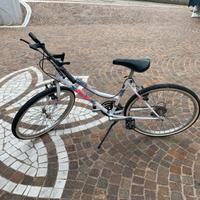 Bicicletta Mountain bike