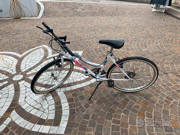 Bicicletta Mountain bike