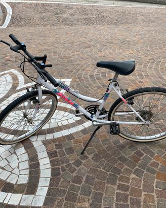 Bicicletta Mountain bike