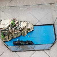 Vasca per tartarughe