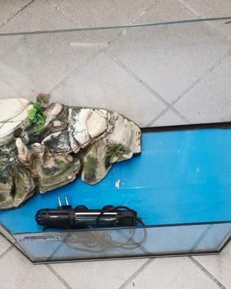 Vasca per tartarughe