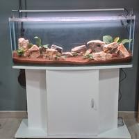 ACQUARIO COMPLETO (acquario mobile e rocce)