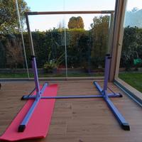 parallele ginnastica artistica femminile 