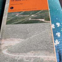Libro “va dove ti porta il cuore”