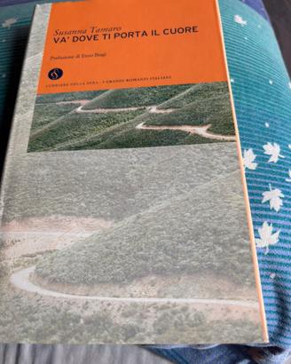 Libro “va dove ti porta il cuore”