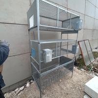 Gabbie zincate per conigli