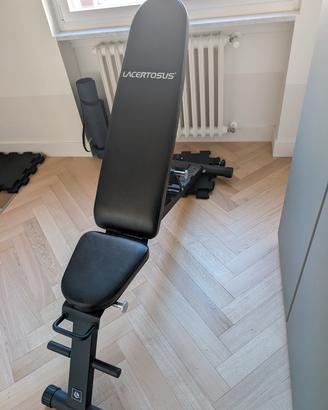 Panca Pieghevole Lacertosus