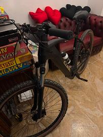 Ebike cube pro