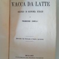 La vacca da latte