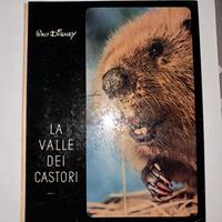 Libro Walt Disney 1956 la valle dei castori 