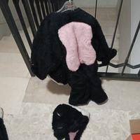 vestiti da carnevale
