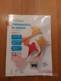 Matematica in azione vol. 3 Geometria +Algebra