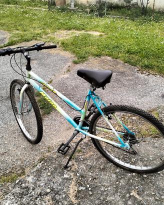 Bicicletta bambino