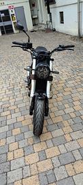 Leoncino benelli 500