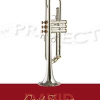 Tromba NM PROJECT «David Trumpet»
