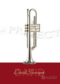 Tromba NM PROJECT «David Trumpet»