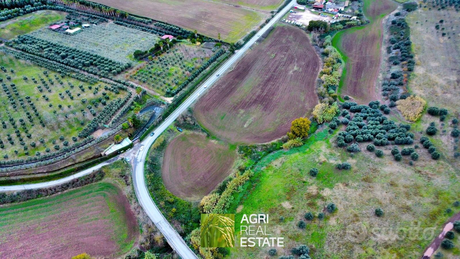 Terreno agricolo 3 HA ca. fronte strada | TR475 - Vista 3