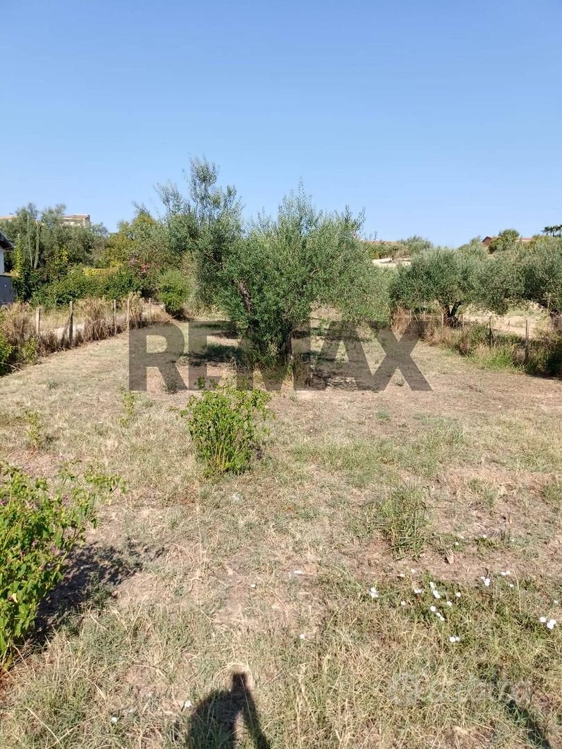 Terreno Edificabile - Mazzarrone - Vista 3