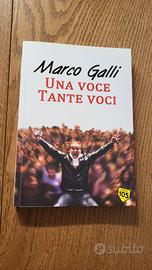 Libro Una voce Tante voci Marco Galli DJ