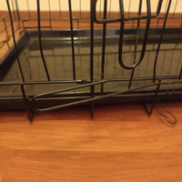 Kennel per cane