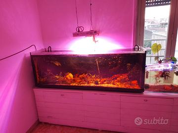 acquario 300 litri