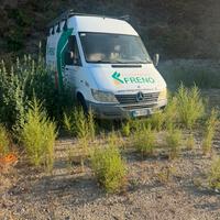 Mercedes Sprinter 311 CDI