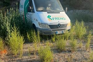 Mercedes Sprinter 311 CDI