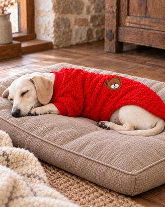 Felpa invernale per cani taglia XL orsetto rosso
