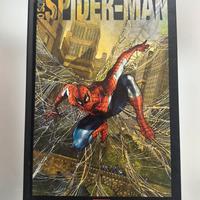 Io Sono Spiderman | Spiderman