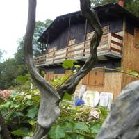 Baita immersa in un bosco di 20.000 mq