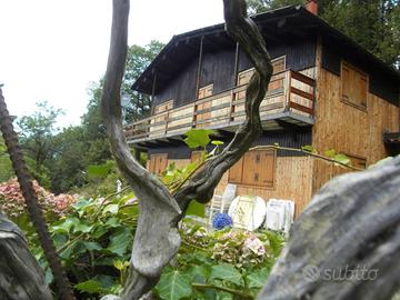 Baita immersa in un bosco di 20.000 mq