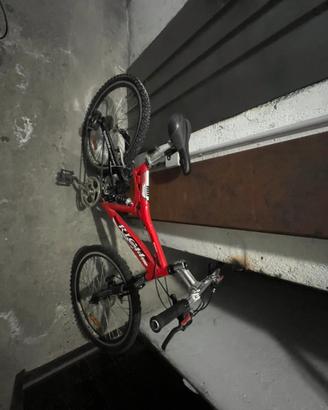 Bicicletta ragazzo