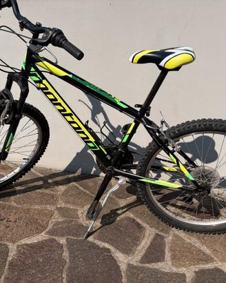 Bicicletta ragazzo 24’’
