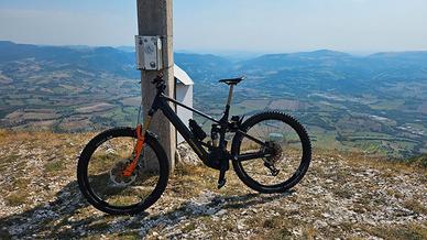 Orbea Wild