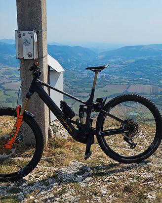 Orbea Wild