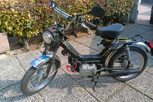 califfone rizzato 1979