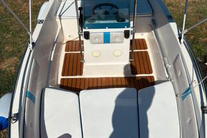 ALBATROS 47