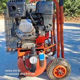 motocompressore per olive e potature