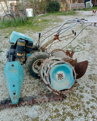 motocoltivatore diesel Bertolini 