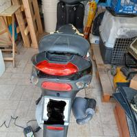 PIAGGIO NRG MC3  ANNO 2004