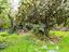 Immagine 24