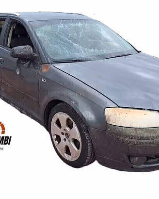 RICAMBI USATI PER AUDI A3 8P 1.9 TDI 105 CV