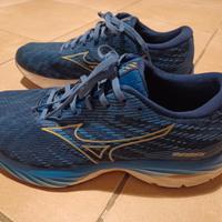 Mizuno Wave Rider 26