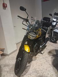 Moto Guzzi V7 IV Stone