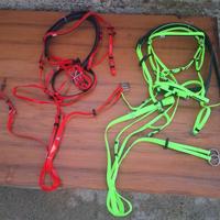 testiere per cavalli 