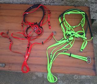 testiere per cavalli 